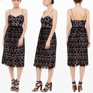 Club Monaco Black/Nude Lace Midi Dress